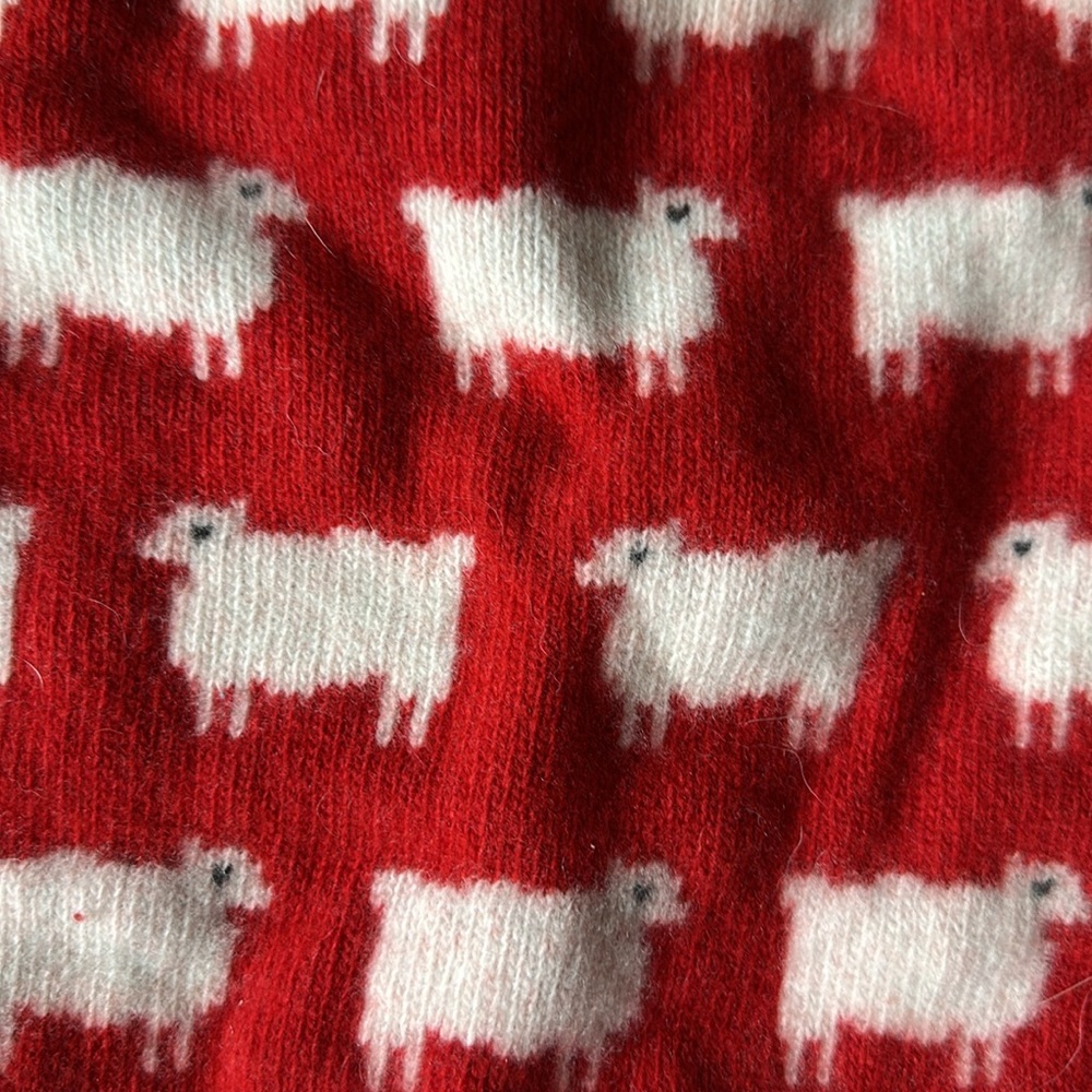 Rowing Blazers Warm & Wonderful Red 100% Wool Diana Fitted Sheep Sweater XL - Picture 11 of 13